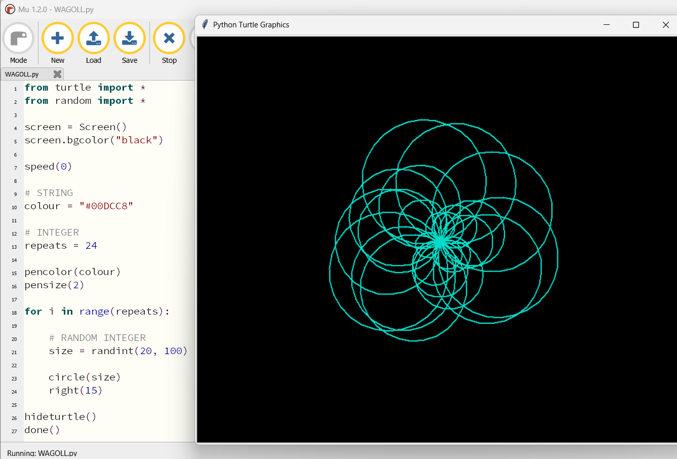 WAGOLL Turtle output for data types and generative art