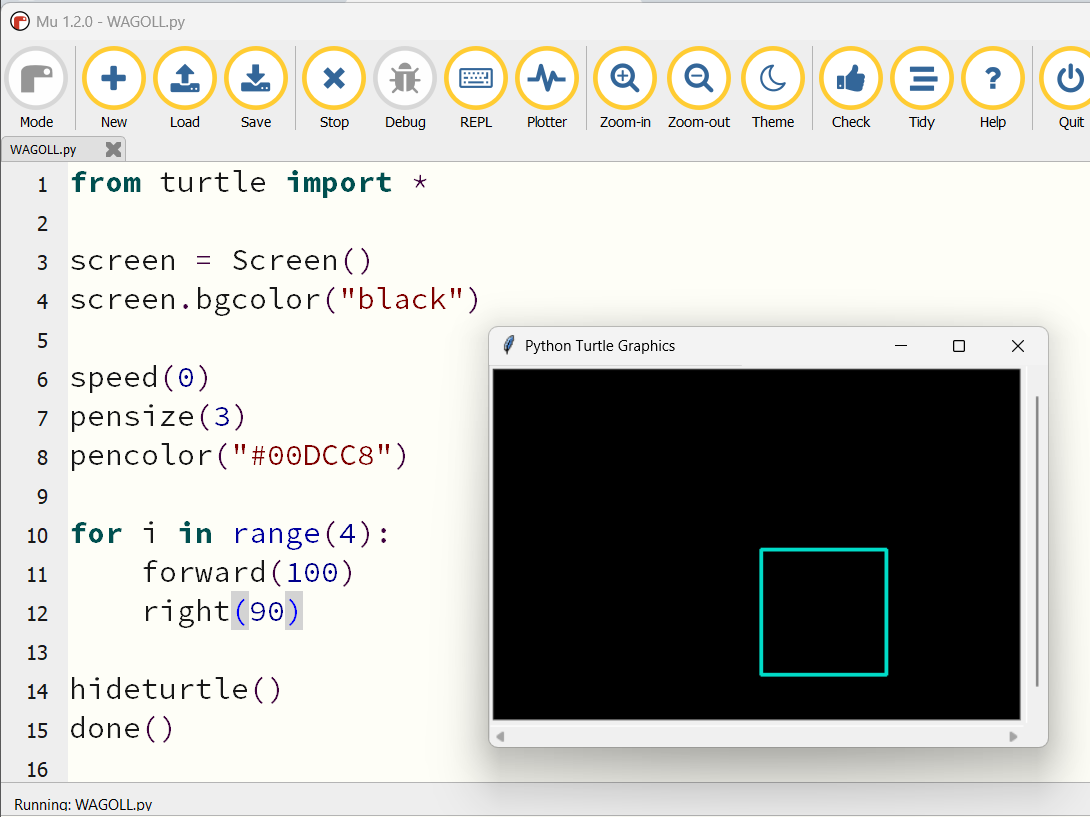 WAGOLL showing the corrected Turtle program output after debugging